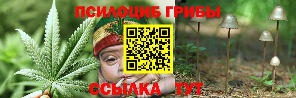 Псилоцибиновые грибы Magic Shrooms Коломна
